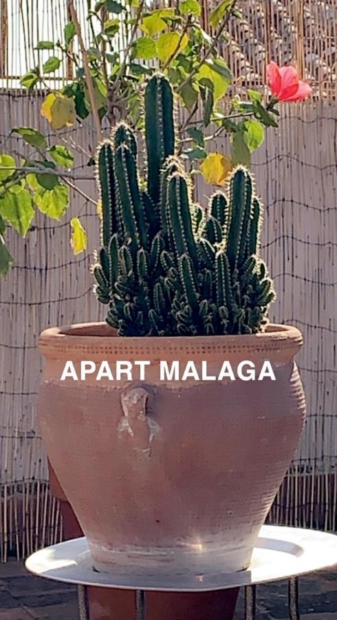 Appartement Plein Coeur Centre Historique De Málaga Buitenkant foto